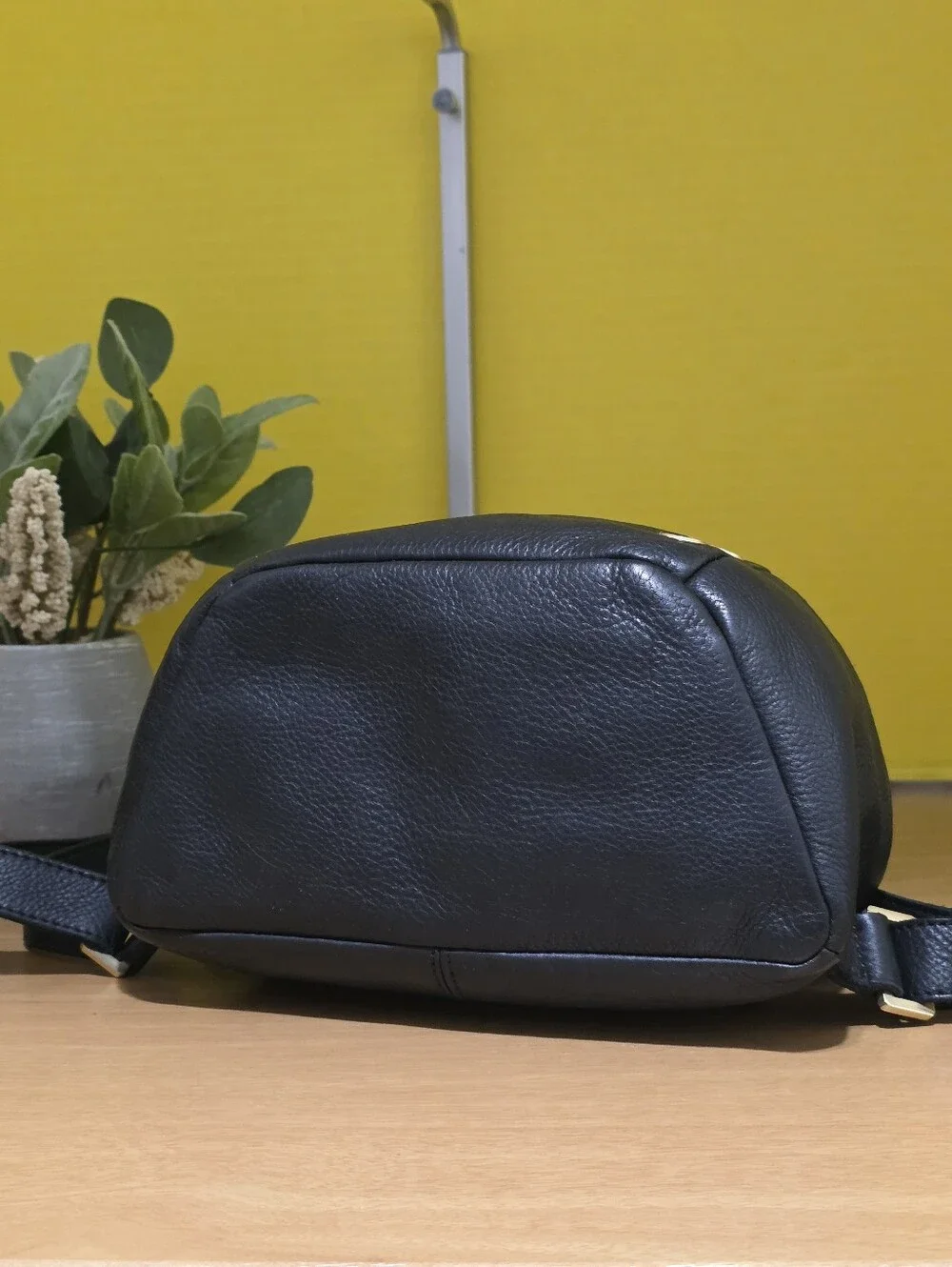 Hammitt Black Leather Medium Backpack with Gold Accents